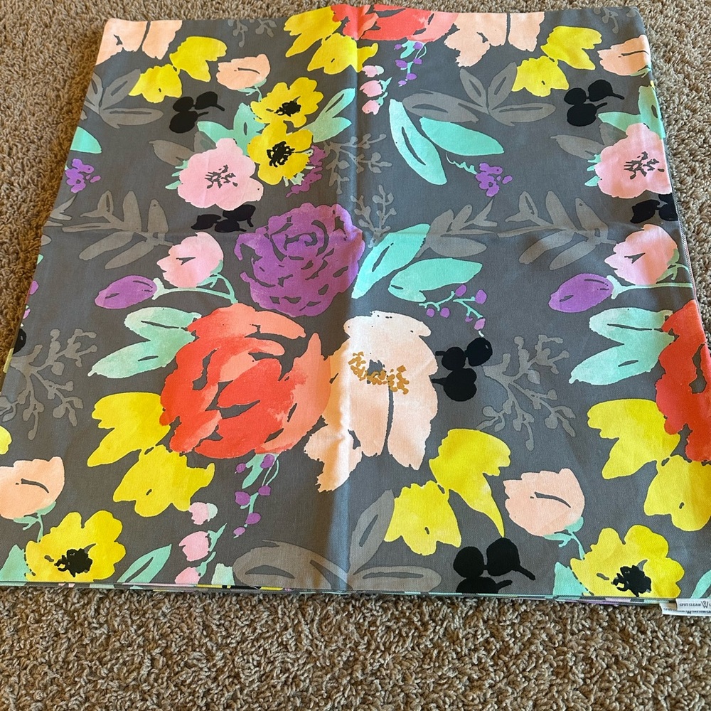 Caitlin Wilson pillow covers